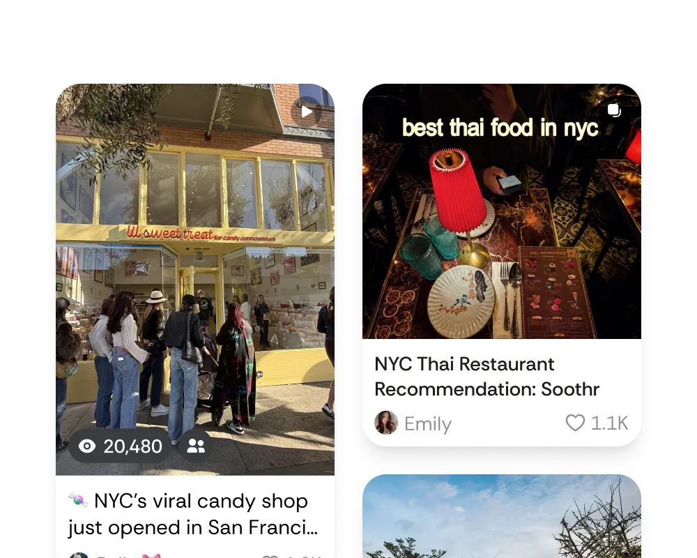 The  app — A feed that breathes