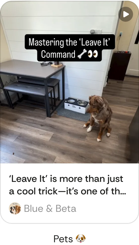 A Gist post - Pets